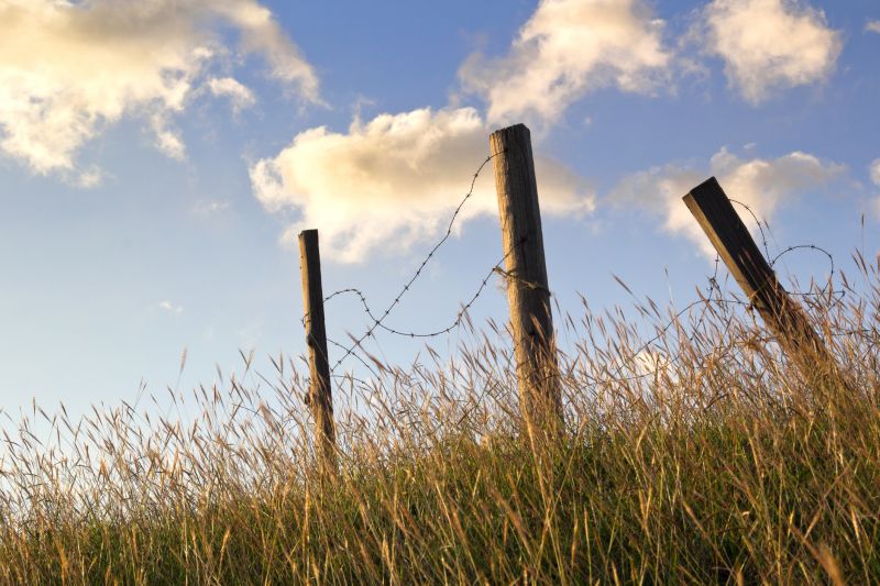Barb Wire Fencing Repair detail