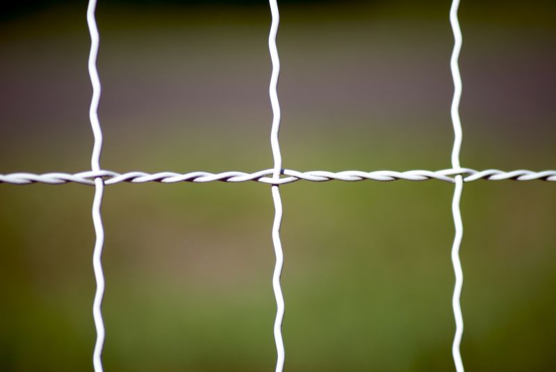 Wire Fence Replacement detail